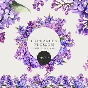 May include: Watercolor clipart of 27 purple hydrangea blossoms. The flowers are arranged in a circle with a black circle in the center that says "27 in 1". The text "Hydrangea Blossom Watercolor Clipart" is above the circle.