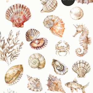 May include: A set of 20 watercolor illustrations of seashells, starfish, seahorses, coral, seaweed, and a crab. The illustrations are in shades of brown, beige, white, pink, and orange.