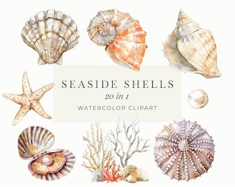 Watercolor Seashells Clipart | Boho Beach Shells Collection | Sea Life PNG | Beige Ocean Shells | Instant Digital Download