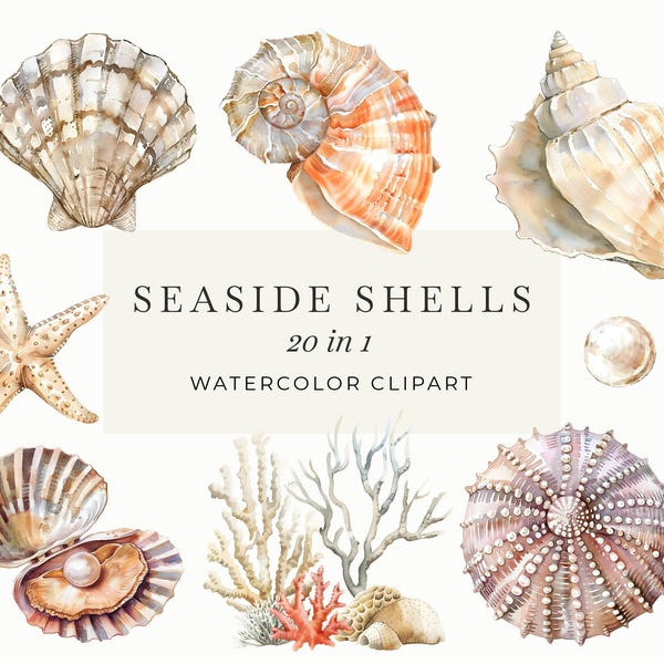 Aquarell Muscheln Clipart | Boho Strand Muscheln Sammlung | Leben im Meer PNG | Beige Muscheln | Sofortiger digitaler Download