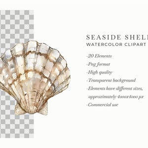 May include: A watercolor painting of a seashell with a light brown and white color scheme. The shell has a textured surface and is depicted in a realistic style.