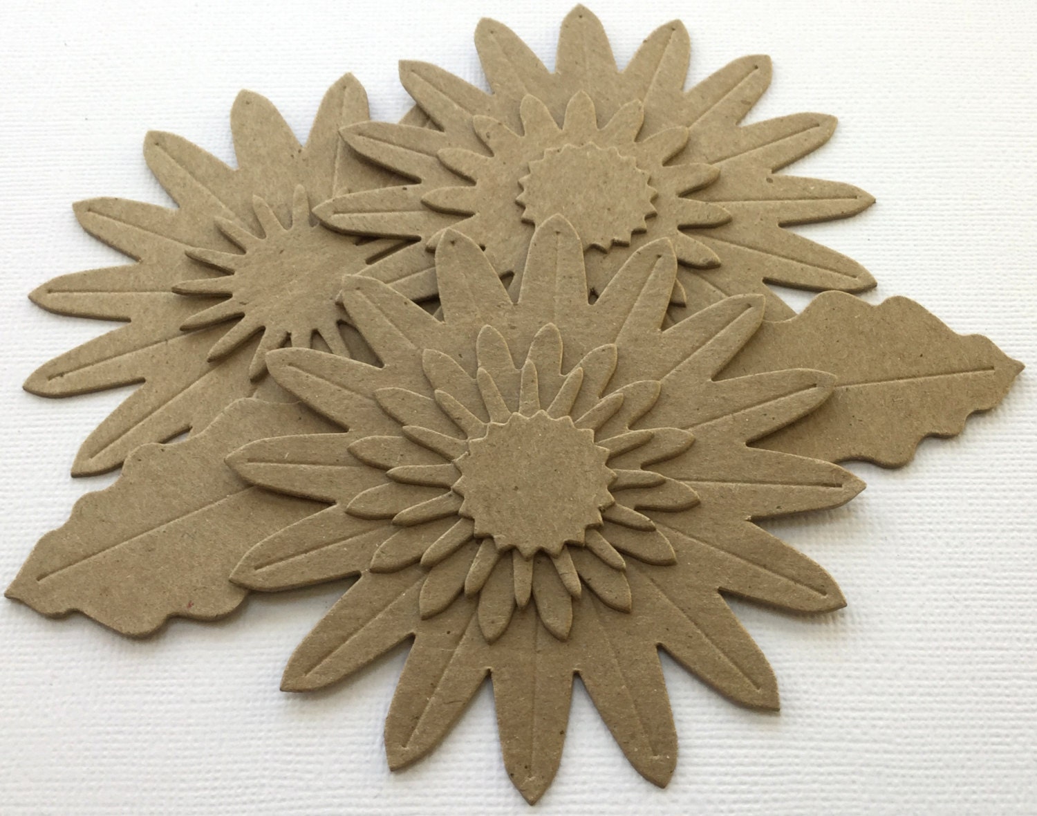 Gerbera Daisies Chipboard Die Cuts Bare Daisy Layered Etsy
