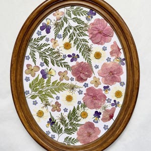 Petit Art Encadré Fleurs Séchées De Terre Sainte - Vintage Cadre Ancien