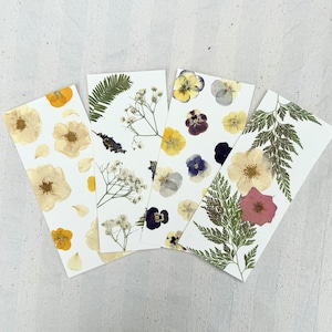 Note or check holder card - dried flowers