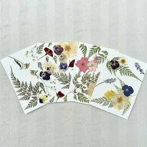 Dried flower card to offer