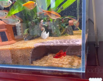 3D Printed Aquarium Corner Decoration, Aquarium Accessories, Underground Shrimp and Isopod Cave Fish Tank Waterscape Decoration, Gift