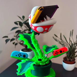 Pianta di Mario Switch dock