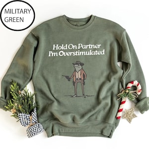Hold On Partner Im Overstimulated Sweatshirt, Cowboy Frog Sweatshirt, Cowboy Frog Unhinged Shirt, Cute Animal Sweatshirt, Funny Frog Shirt