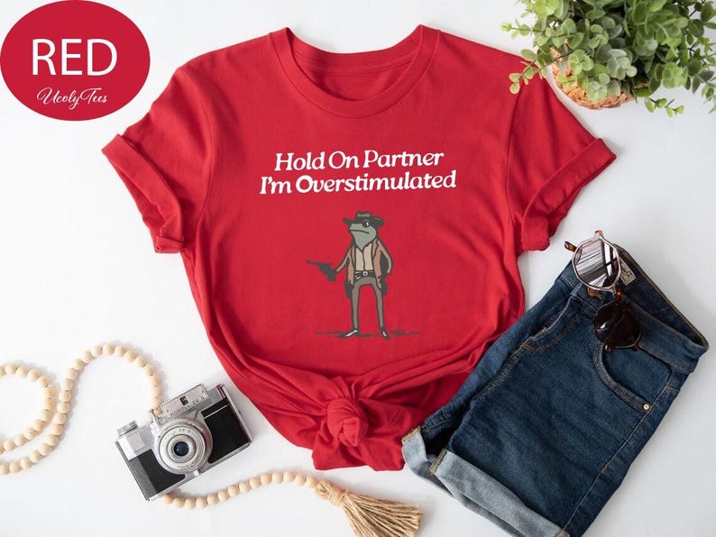 Hold On Partner Im Overstimulated Shirt, Cowboy Frog, Funny Meme Shirt, Funny Gifts for Friend, Funny Frog Tee, Gen Z Shirt, Cowboy Frog Tee image 4