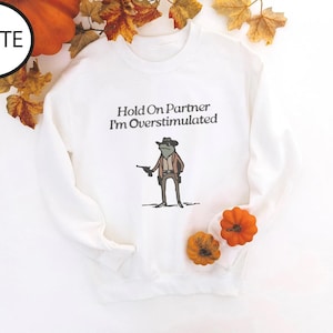 Hold On Partner Im Overstimulated Sweatshirt, Cowboy Frog Sweatshirt, Cowboy Frog Unhinged Shirt, Cute Animal Sweatshirt, Funny Frog Shirt image 3
