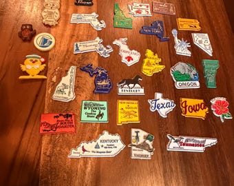 Vintage State Tv & Animal Magnets