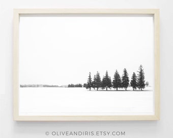 Snowfall / Winter / Photograph / Wall Art