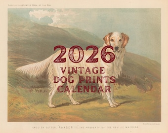 Puede incluir: Calendario vintage de 2026 con una ilustración de un perro Setter inglés. El texto "2026 Vintage Dog Prints Calendar" está en borgoña. El perro está en un campo con una montaña al fondo.