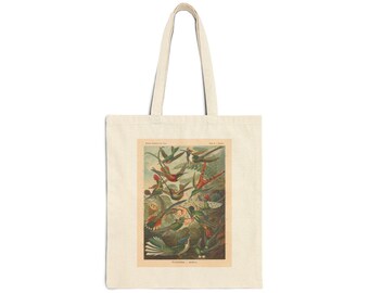 Art Forms of Nature Cotton Canvas Tote Bag, Eco-Friendly Shopping Bag, Ernst Haeckel Plate Design, Reusable Market Tote, Hummingbird Bag