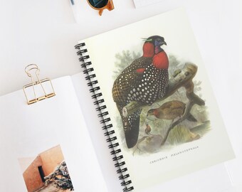 Bird Notebook, Carel Fabritius Art, the Goldfinch, Bird Spiral