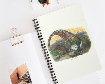 Bird Notebook, Carel Fabritius Art, the Goldfinch, Bird Spiral