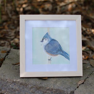 Tufted Titmouse Painting