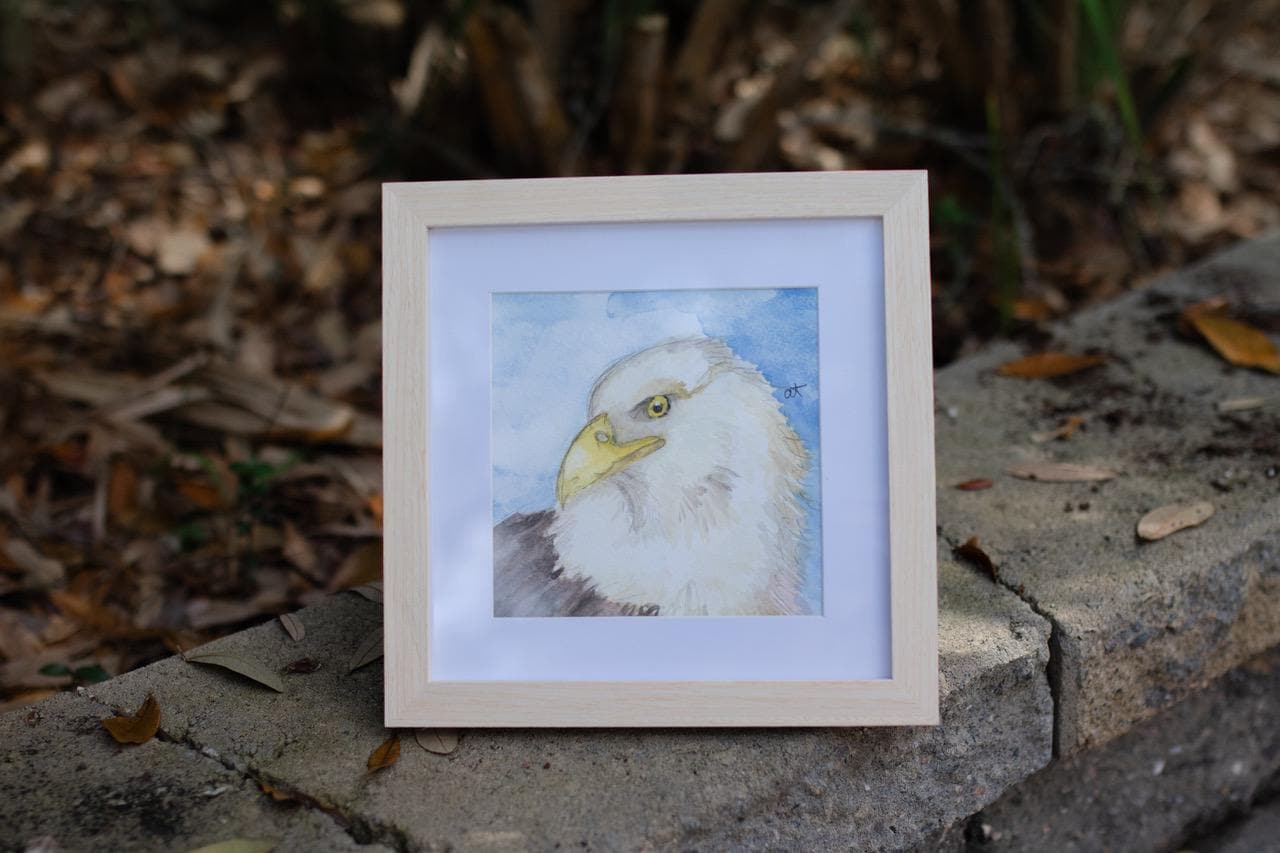 白頭ワシの絵画 - Etsy 日本