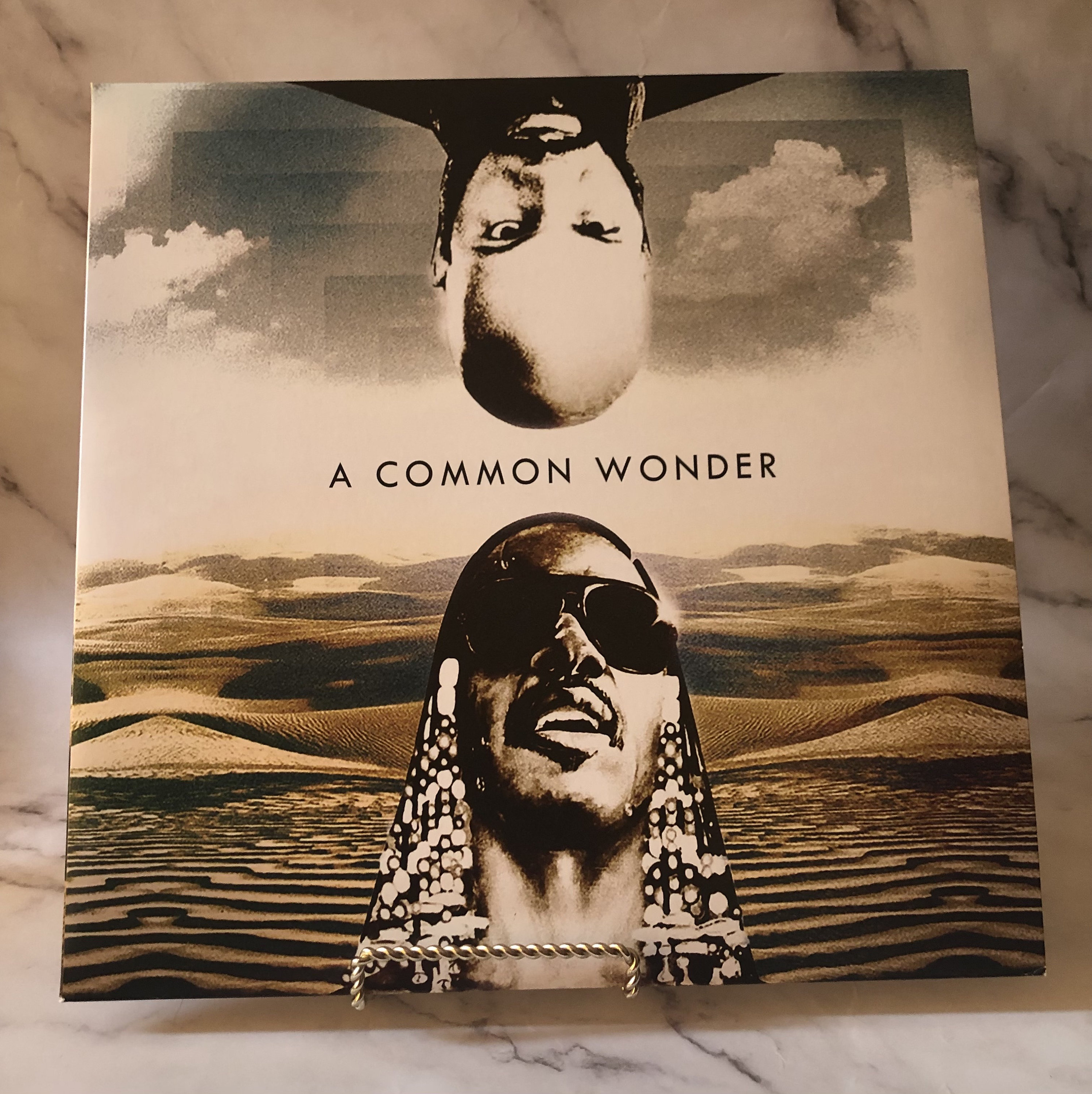 洋楽 Common Wonder / Common vs. Stevie Wonder Common and Stevie Wonder A Common Wonder Vinyl LP Amerigo Gazaway