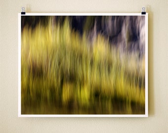 WAVY RIVER WILLOW - 8x10 Signed Fine Art Photograph