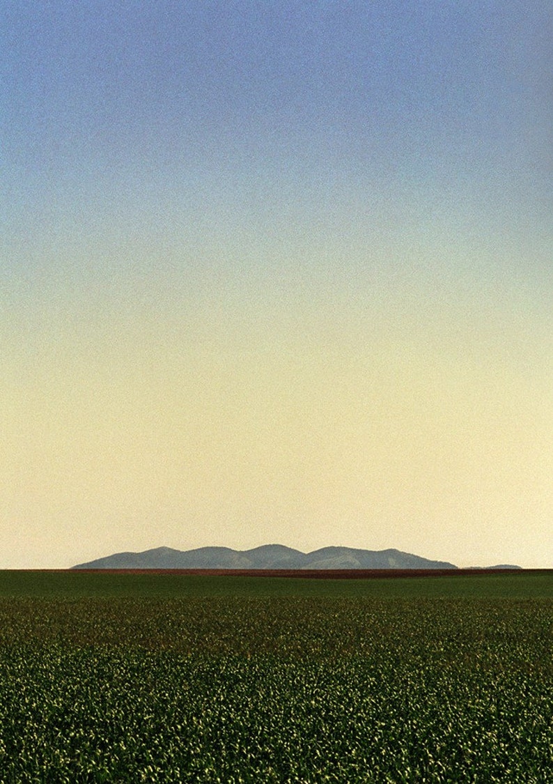 Spring Wheat Morning 8x10 Signed Fine Art Photograph image 1