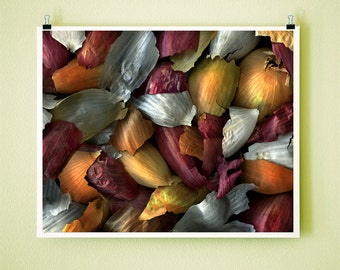 MIXED ONION SKINS - 8x10 Signed Fine Art Photograph