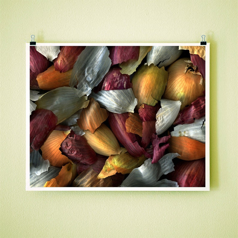 MIXED ONION SKINS 8x10 Signed Fine Art Photograph image 1