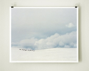 Fine Art Print - WINTER grasende Pferde - Fotografie für die Gestaltung - lyrische Wanddekoration