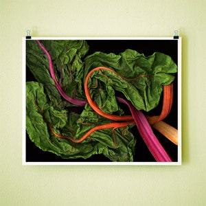 RAINBOW CHARD 8x10 Signed Fine Art Photograph image 1