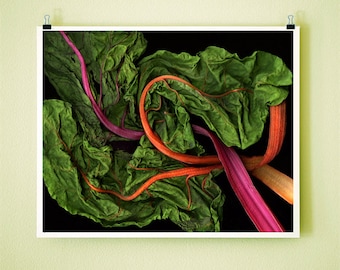 RAINBOW CHARD - 8 x 10 firmato Fine Art fotografia
