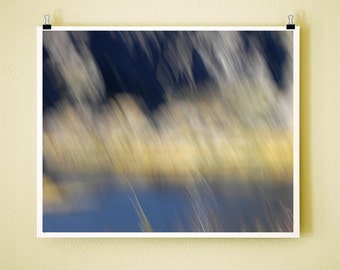 RIVER BRUSH - 8x10 Signed Fine Art Photograph