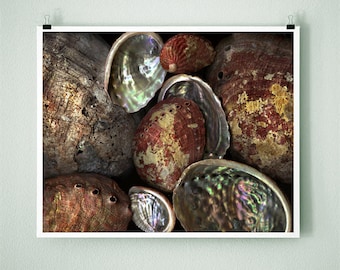 ABALONE - 8x10 Signed Fine Art Photograph