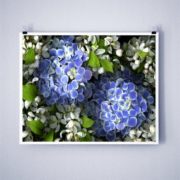 BLUE HYDRANGEA - 8x10 Signed Fine Art Photograph