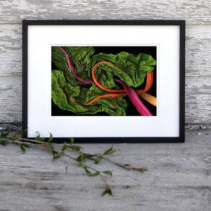 RAINBOW CHARD 8x10 Signed Fine Art Photograph image 4