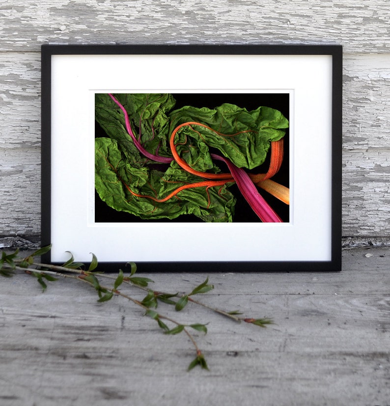 RAINBOW CHARD 8x10 Signed Fine Art Photograph image 4