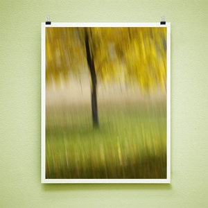 SWEET TREE - 8x10 Signed Fine Art Photograph