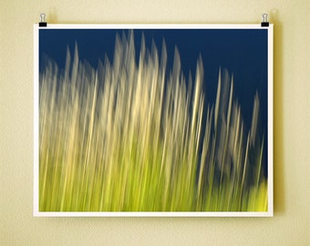 RIVER GRASS - Signed Fine Art Photograph 8x10