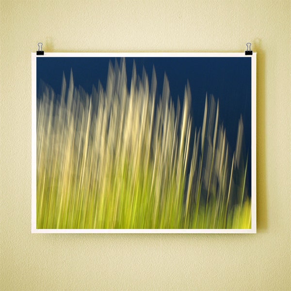 RIVER GRASS - Signed Fine Art Photograph 8x10