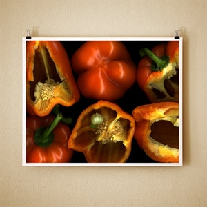 ORANGE PEPPER - 8x10 Signed Fine Art Photograph