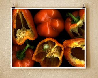 ORANGE PEPPER - 8x10 Signed Fine Art Photograph