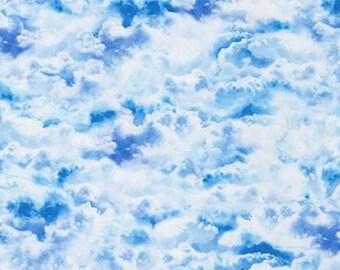 Sold by the Yard - Imaginings Realistic Blue Fabric Robert Kaufman SRKD-18909-216 CLOUD