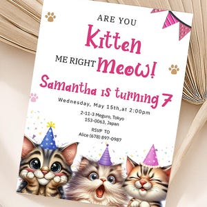 Invito a tema gatto, invito di compleanno con gattini carini, festa di compleanno con gattini, facciamo un po' di festa, hai ragione, miagolio?, modello digitale modificabile
