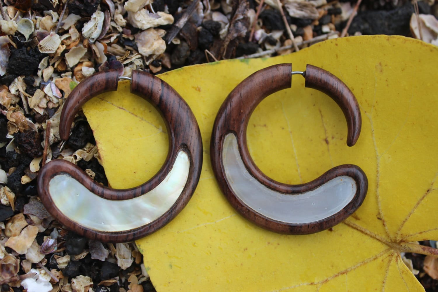 Fake Gauge Earrings Gold Shell & Wood Earrings Spiral Hand Etsy