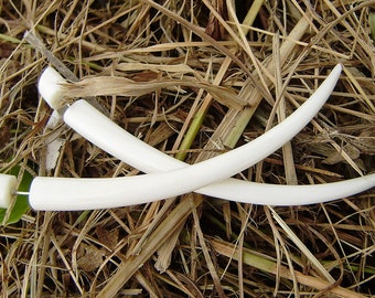 Fake gauge  Earrings,Natural White Bone Split Gauge Earrings Sprial Anela hawaii hand carved