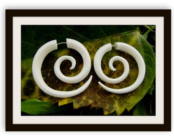 Medium Spiral Fake Gauge Earrings - Organic, Water Buffalo Bone, Spiral, Tribal, Expanders, Hand Carved