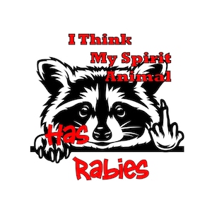 Penso che il mio animale spirituale abbia la rabbia Procione - PNG - Sfondo trasparente - 3 layout diversi