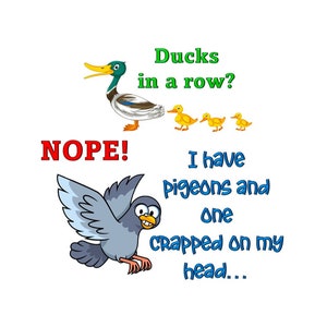 May include: A cartoon illustration of a duck and ducklings in a row with the text "Ducks in a row?" above them. Below the ducks is the text "NOPE!" and a cartoon illustration of a pigeon with the text "I have pigeons and one crapped on my head..."