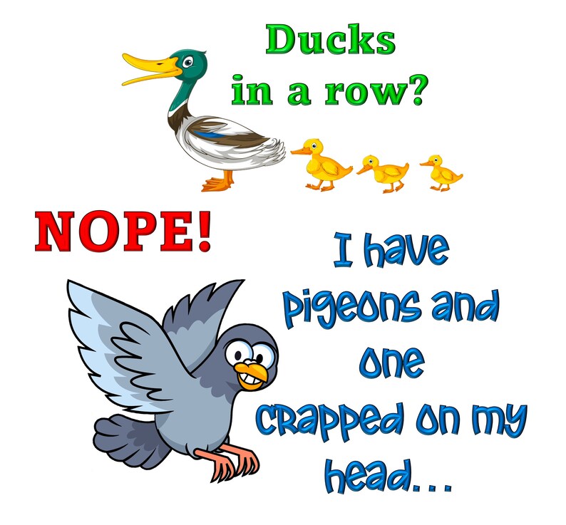 May include: A cartoon illustration of a duck with the text "Ducks in a row?" above it. Below the duck is the text "NOPE!" and a cartoon illustration of a pigeon with the text "I have pigeons and one crapped on my head..." below it.