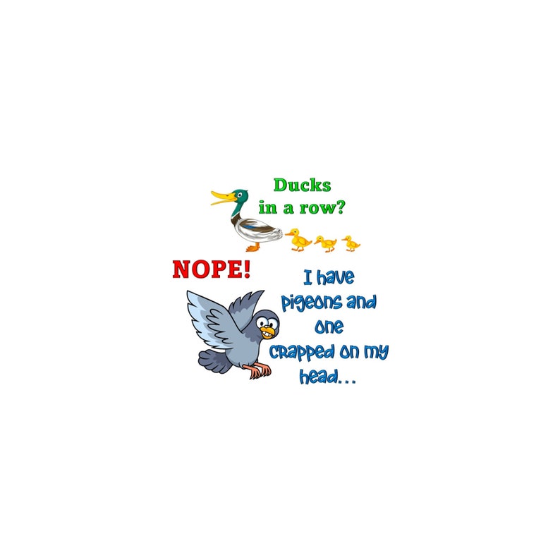 May include: A cartoon illustration of a duck and ducklings in a row with the text "Ducks in a row?" above them. Below the ducks is the text "NOPE!" and a cartoon illustration of a pigeon with the text "I have pigeons and one crapped on my head..."