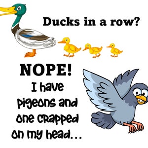May include: A cartoon illustration of a duck with a caption that reads "Ducks in a row? NOPE! I have pigeons and one crapped on my head..."